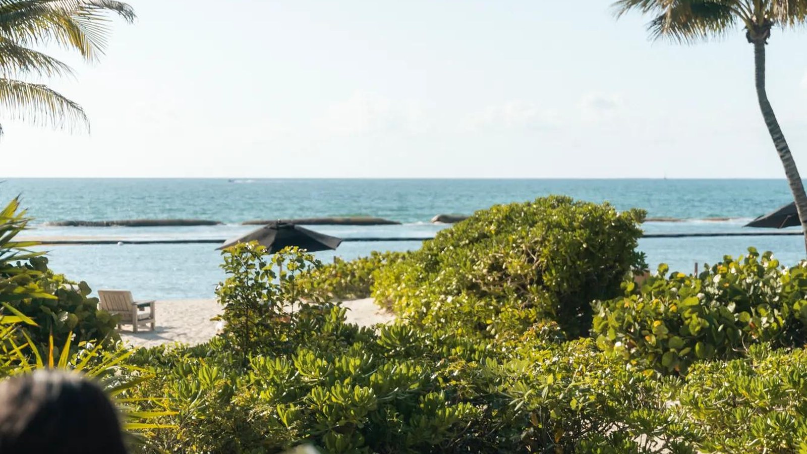 Rosewood Mayakoba : 23 catégories de suites, et jamais un mètre carré